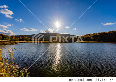 Autumn leaves of Hachimantai and Onuma, Akita Prefecture Autumn leaves of Hachimantai and Onuma, Akita Prefecture 117132467