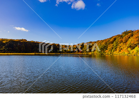 Autumn leaves of Hachimantai and Onuma, Akita Prefecture 117132468