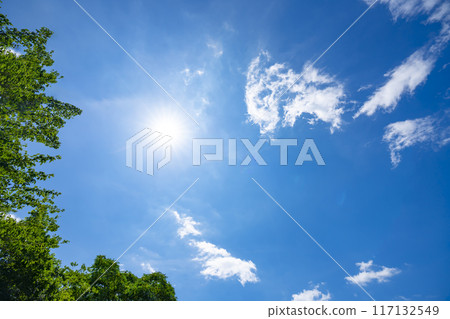 Summer clouds, trees and sun 117132549