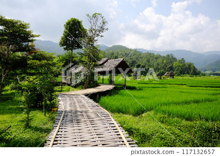 landscape of woven wooden bridge for walking across agriculture field and greenery paddy rice terrace to homestay and hut on hill in Thailand 117132657