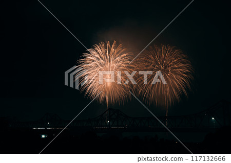 Fireworks dancing in the night sky 117132666