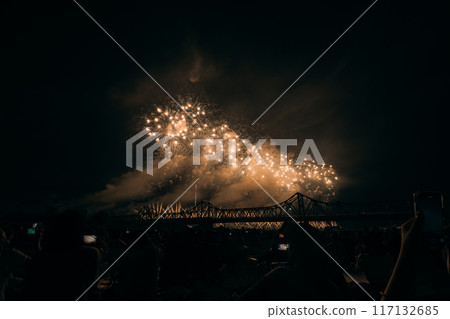 煙火在夜空中翩翩起舞 117132685