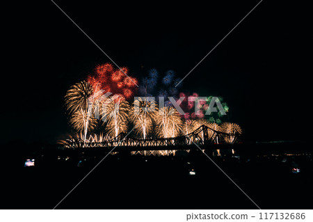 煙火在夜空中翩翩起舞 117132686