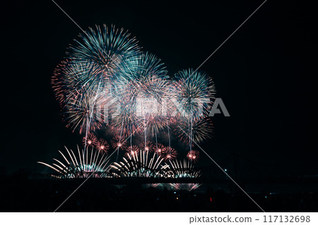 Fireworks dancing in the night sky Fireworks dancing in the night sky 117132698
