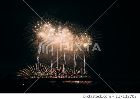 Fireworks dancing in the night sky 117132702