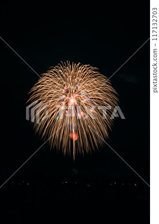 Fireworks dancing in the night sky Fireworks dancing in the night sky 117132703