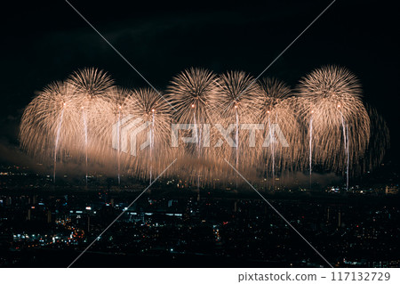 煙火在夜空中翩翩起舞 煙火在夜空中翩翩起舞 117132729