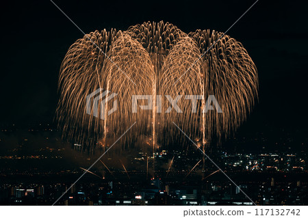 Fireworks dancing in the night sky Fireworks dancing in the night sky 117132742