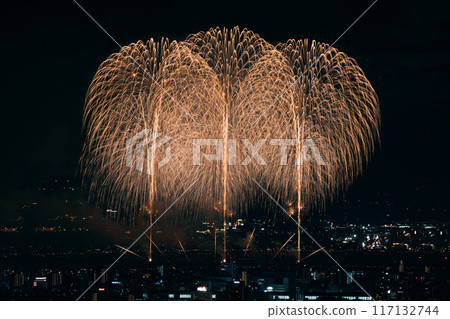 煙火在夜空中翩翩起舞 煙火在夜空中翩翩起舞 117132744