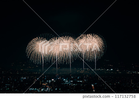 煙火在夜空中翩翩起舞 煙火在夜空中翩翩起舞 117132758