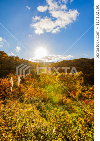Autumn scenery of Hachimantai, Akita Prefecture 117132860