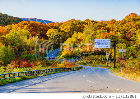 Autumn scenery of Hachimantai, Akita Prefecture 117132861