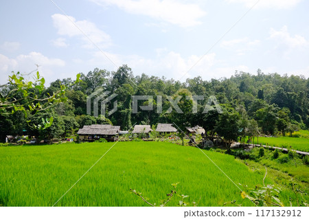 Aerial view of tourist walking across on  woven wooden bridge in nursery plant agriculture field and greenery paddy rice terrace on hill 117132912
