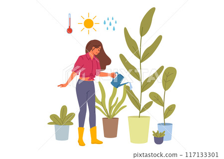 Woman florist grows home plants in greenhouse, watering flowers with water and fertilizer 117133301