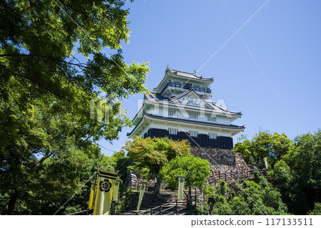 岐阜城在陽光明媚的日子 117133511