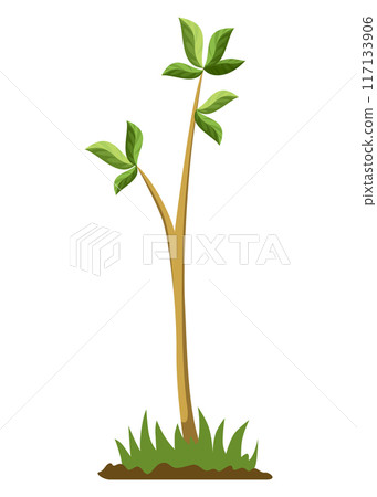 Stage of tree growth. Small tree growth with green leaf and branches. Illustration of business cycle development 117133906