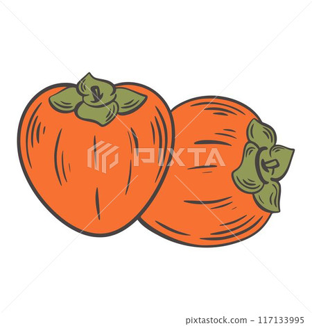 Two ripe juicy persimmons vintage engraving clip art 117133995