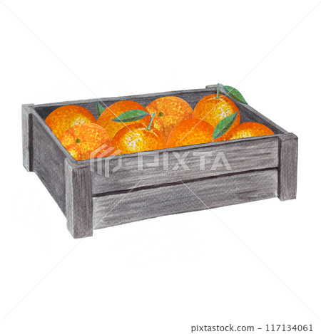 A wooden crate with vibrant oranges, some with fresh green leaves. Watercolor illustration isolated on white. High quality hand drawn art for shop ads design, packages, natural organic food, label A wooden crate with vibrant oranges, some with fresh green leaves. Watercolor illustration isolated on white. High quality hand drawn art for shop ads design, packages, natural organic food, label 117134061
