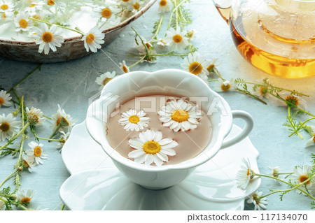 Chamomile flower tea. A tea cup and a tea pot with fresh medicinal flowers Chamomile flower tea. A tea cup and a tea pot with fresh medicinal flowers 117134070
