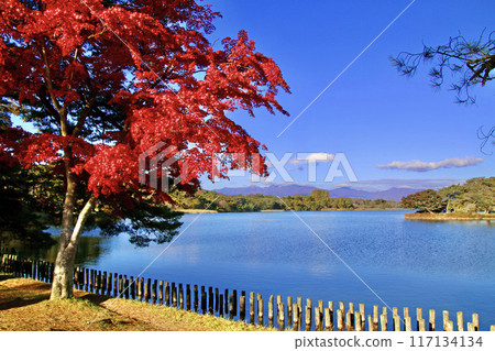 秋季南港公園（福島縣白川市） 117134134