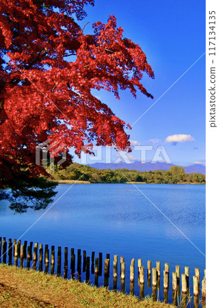 Autumn Nanko Park (Shirakawa City, Fukushima Prefecture) 117134135