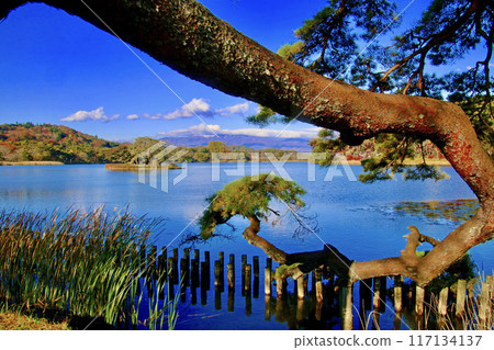 秋季南港公園（福島縣白川市） 117134137