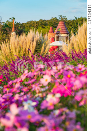 Ghibli Park, cosmos in full bloom <Nagakute City, Aichi Prefecture> Ghibli Park, cosmos in full bloom <Nagakute City, Aichi Prefecture> 117134313