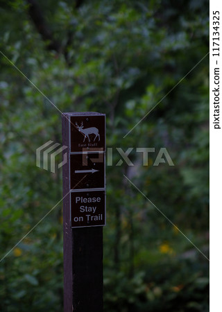 Trail sign please stay on trail Trail sign please stay on trail 117134325