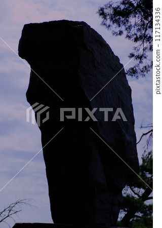 balanced rock with tree Devil's lake 117134336