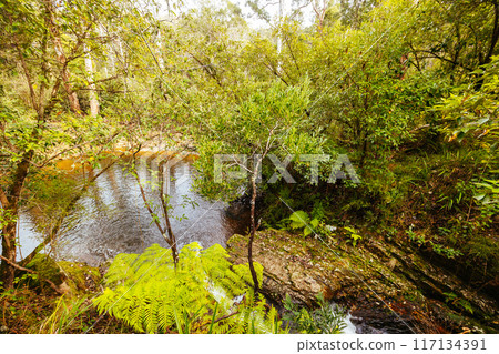 Lerderderg Heritage River Walk in Melbourne Australia 117134391