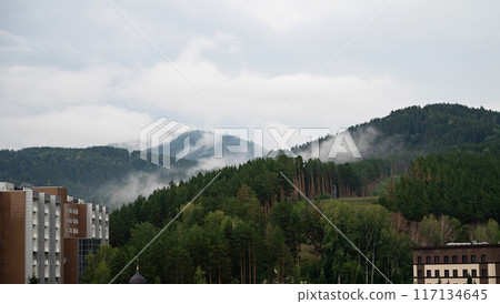 A picturesque mountain landscape covered with fog. Colorful travel background. 117134645