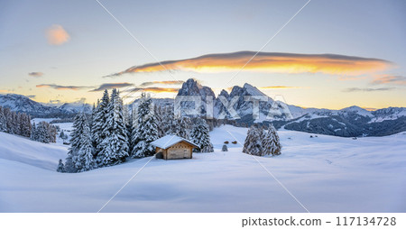 Panoramic view on Alpe di Siusi meadow with small wooden log cabin 117134728
