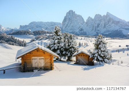 Picturesque landscape with cozy wooden log cabin on meadow Alpe di Siusi Picturesque landscape with cozy wooden log cabin on meadow Alpe di Siusi 117134767
