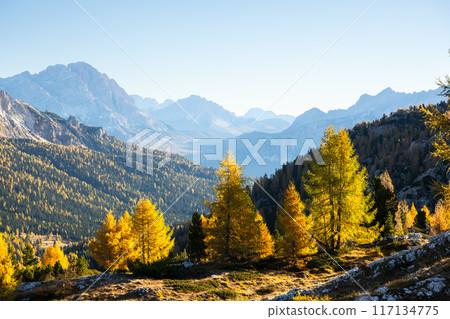 Sunny autumn morning in Italian Dolomite Alps Sunny autumn morning in Italian Dolomite Alps 117134775