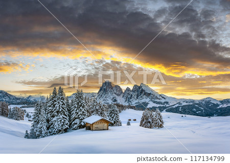 Wooden log cabin on meadow Alpe di Siusi on sunrise time 117134799