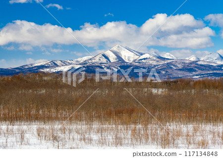 與冬季防風林的北海道景觀 與冬季防風林的北海道景觀 117134848
