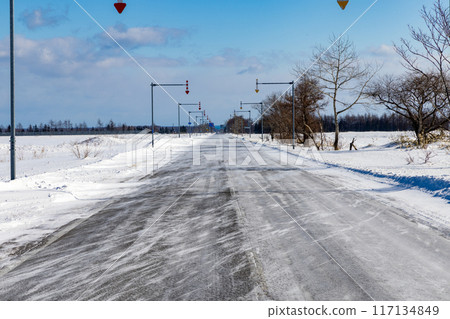 冬日陽光明媚的日子,一場暴風雪從路上流過 冬日陽光明媚的日子,一場暴風雪從路上流過 117134849