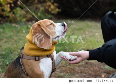 Woman and dog tender hugs Woman and dog tender hugs 117135045