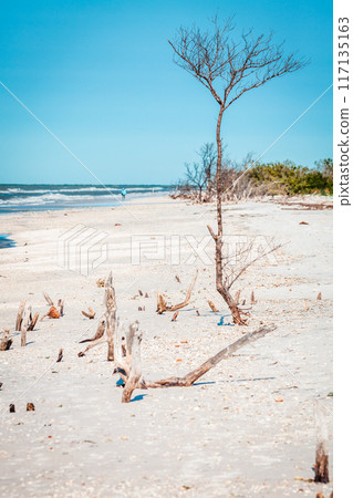 Fort DeSoto beach Fort DeSoto beach 117135163