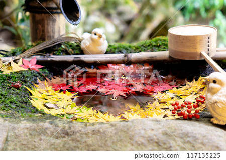 Nagaokakyo City, Kyoto Prefecture Nishiyama Yanagidani Temple (Yanagidani Kannon) Maple Love Water Purification (Heart) 117135225