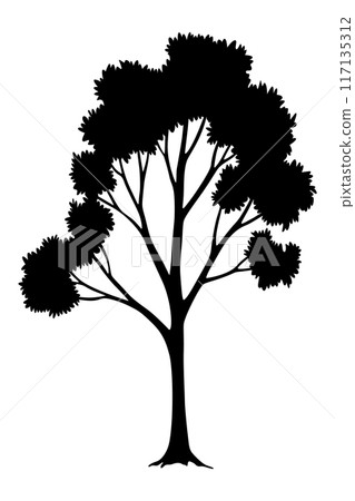 Tree silhouette. Forest and park deciduous tree. Vector nature isolated retro image 117135312