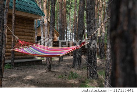 Beautiful young woman relaxing in hammock in forest. Summer scenery, a beautiful morning in the bosom of nature. The girl admires the views and nature. Breathed fresh air. Beautiful morning light. 117135441