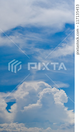 夏日的天空（垂直構圖） 117135453