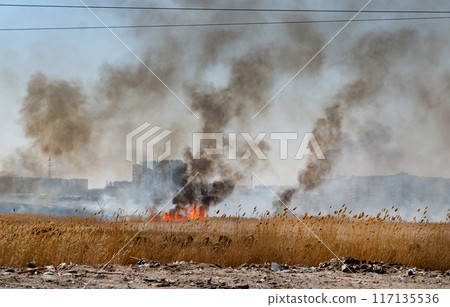 Raging forest fires in spring. Burning dry grass, reeds along the lake. The grass is burning in the meadow. An environmental disaster. Fire and smoke destroy all living things. Firefighters are Raging forest fires in spring. Burning dry grass, reeds along the lake. The grass is burning in the meadow. An environmental disaster. Fire and smoke destroy all living things. Firefighters are 117135536