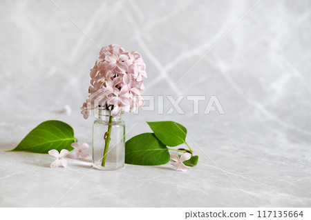 Front view of lilac flowers bouquet in ceramic vase on wooden garden table against blurred outdoor terrace in sunny day Front view of lilac flowers bouquet in ceramic vase on wooden garden table against blurred outdoor terrace in sunny day 117135664