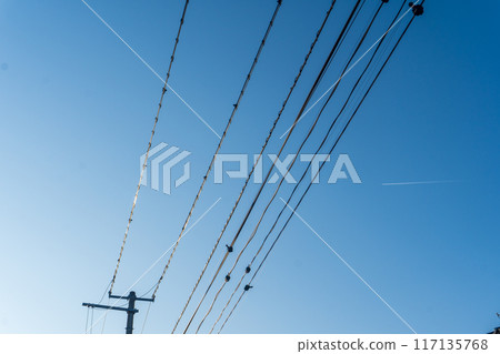 晚上鳥類棲息的電線 晚上鳥類棲息的電線 117135768