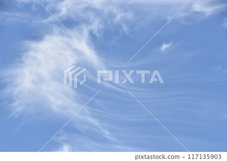 Tangled Cirrus 117135903