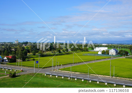 從筱津公園展望台看到的塔布大橋 117136038