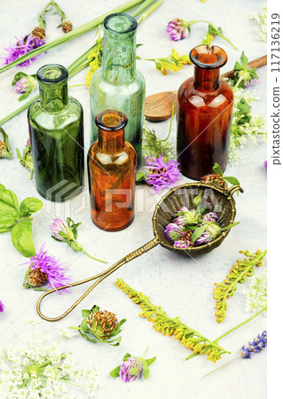 Healing herbs, herbal medicine. Healing herbs, herbal medicine. 117136219