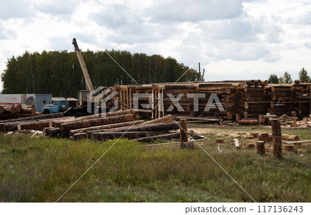 Timber Harvesting For Lumber Industry Or Wooden Housing Construction Concept. Large Woodpile From Sawn Debarked Pine Wood Logs Timber Harvesting For Lumber Industry Or Wooden Housing Construction Concept. Large Woodpile From Sawn Debarked Pine Wood Logs 117136243